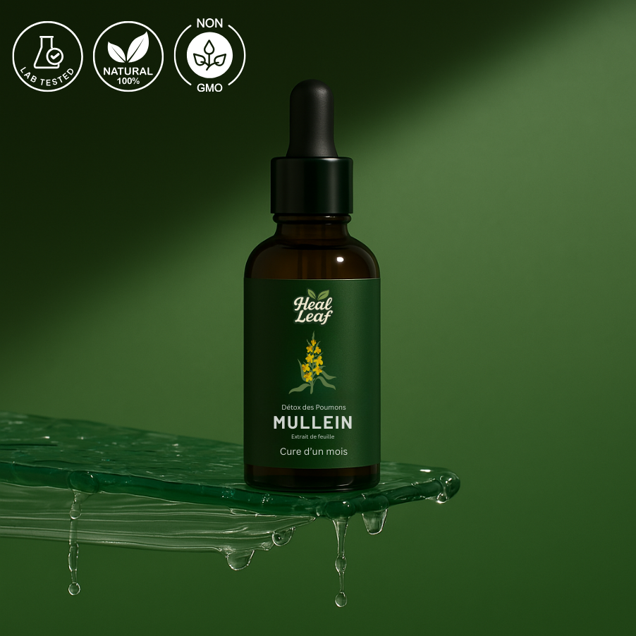 Teinture de Molène pour les Poumons – HealLeaf