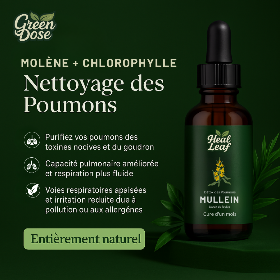 Teinture de Molène pour les Poumons – HealLeaf