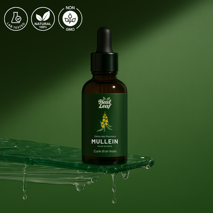 Teinture de Molène pour les Poumons – HealLeaf