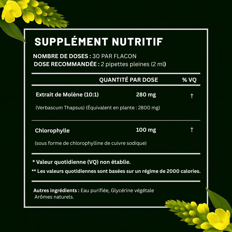 Teinture de Molène pour les Poumons – HealLeaf