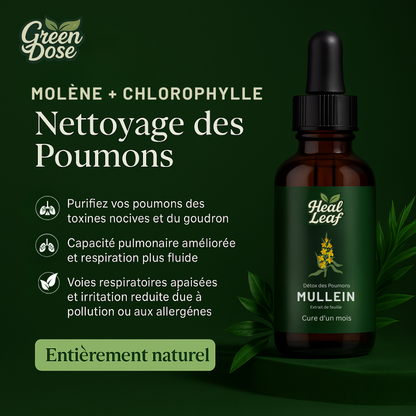 Teinture de Molène pour les Poumons – HealLeaf
