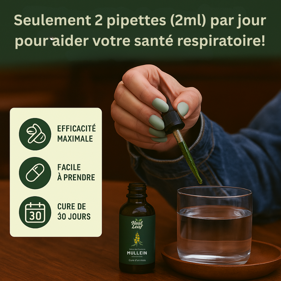 Teinture de Molène pour les Poumons – HealLeaf