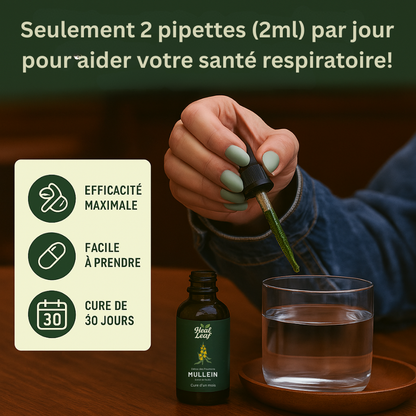 Teinture de Molène pour les Poumons – HealLeaf